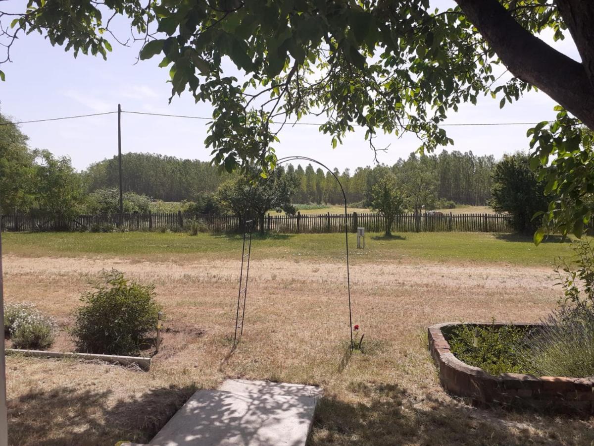 Szentkirály Camping Fantazia Tanya מראה חיצוני תמונה